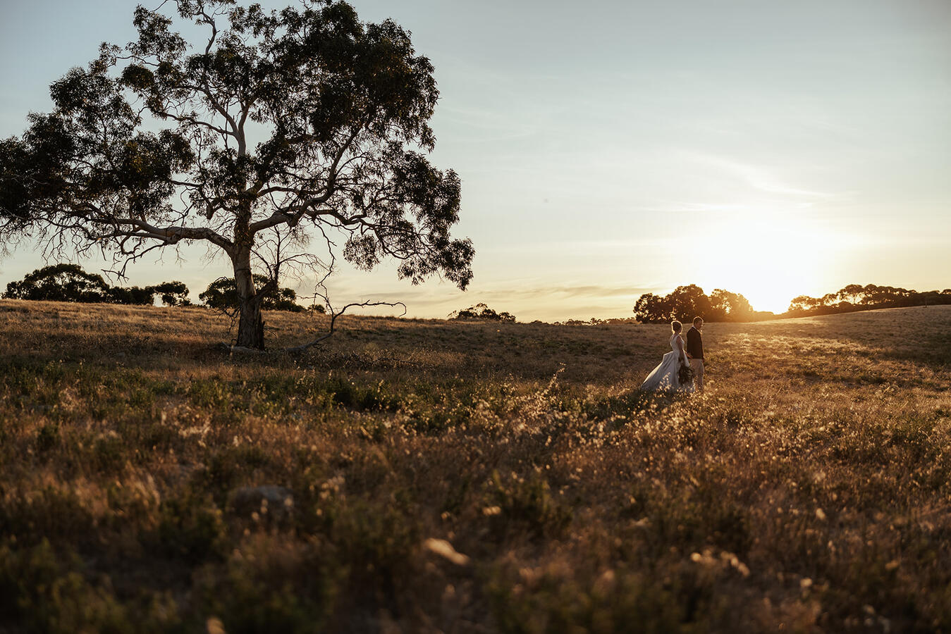 A couple holding hands and walking through a field at sunset, with a tree on the left and warm light bathing the scene.